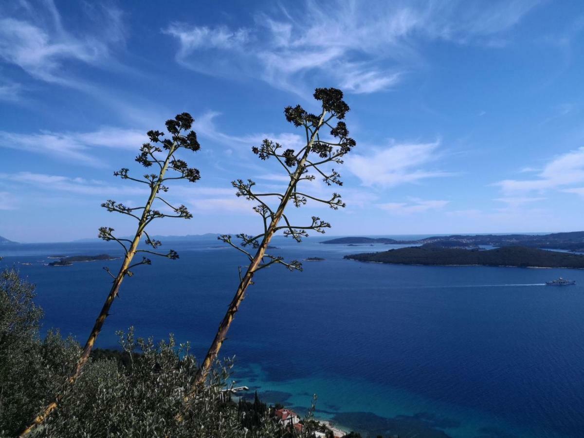 Sea And Pine Paradise Оребич Экстерьер фото